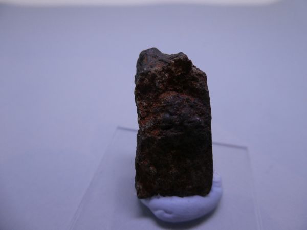 Wiluna crusted fragment.