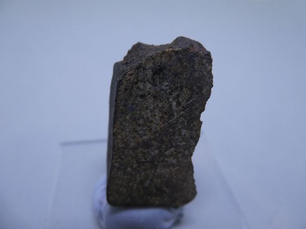 Wiluna crusted fragment.