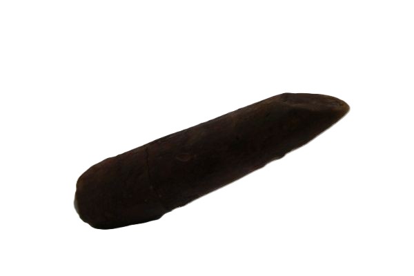 Rebbachisaurus garasbae Tooth.