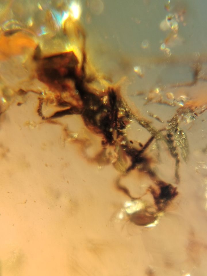 Amber.