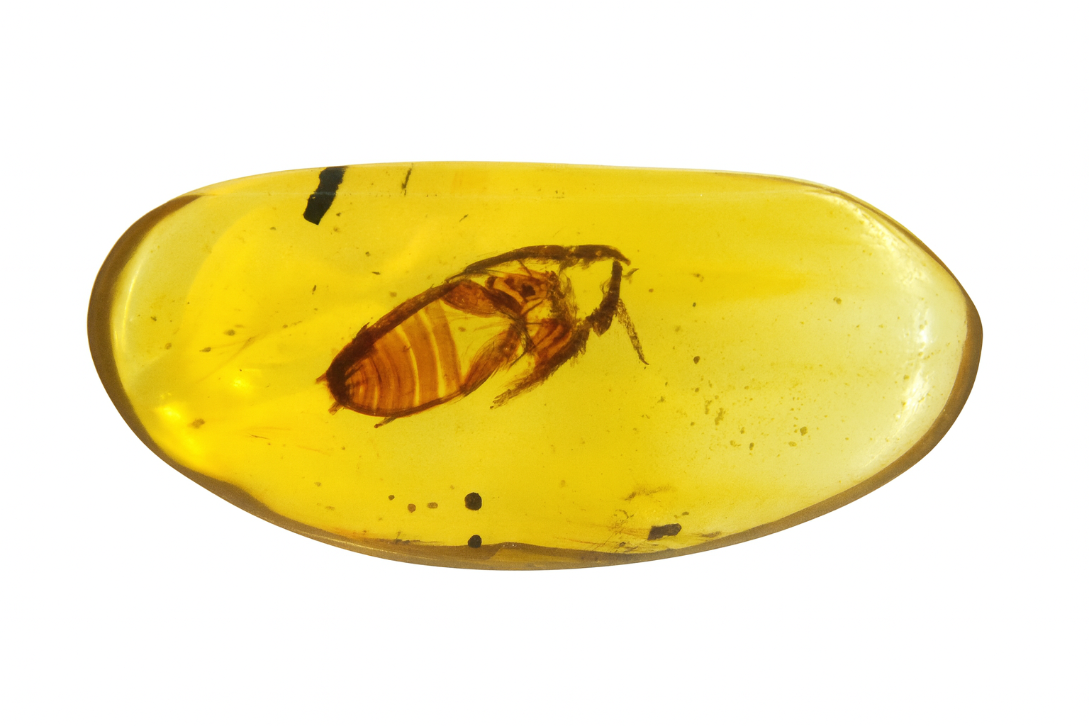 Amber.