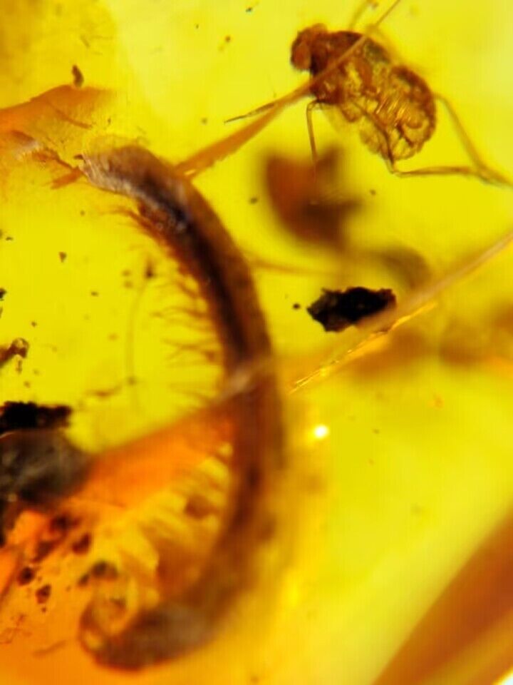 Amber.