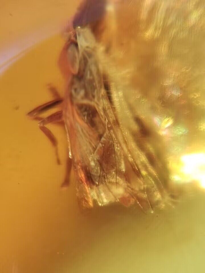 Amber.
