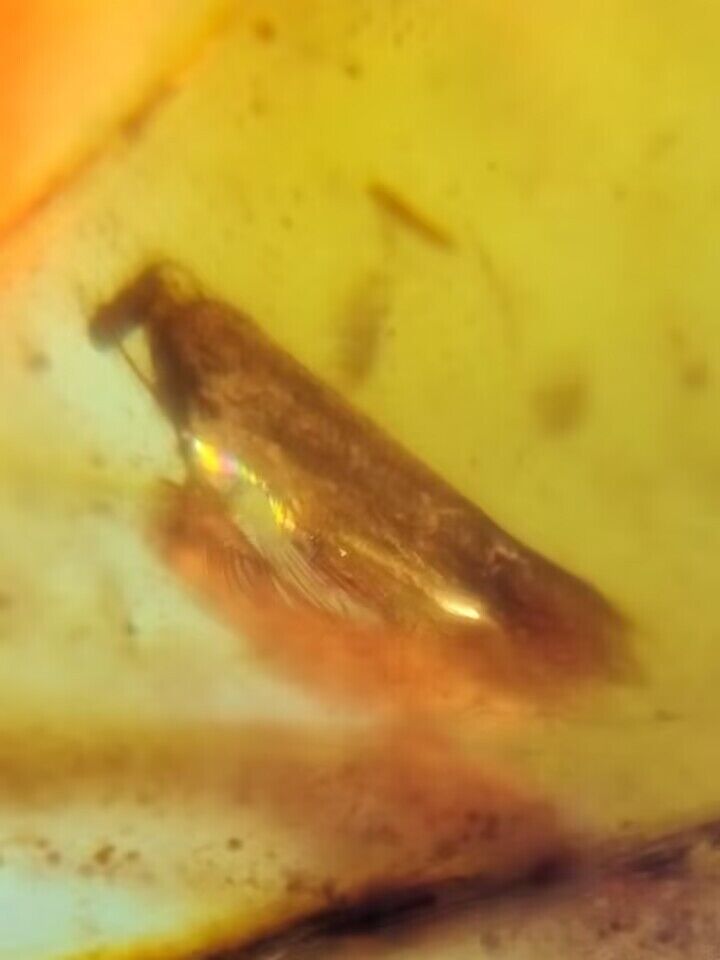 Amber.
