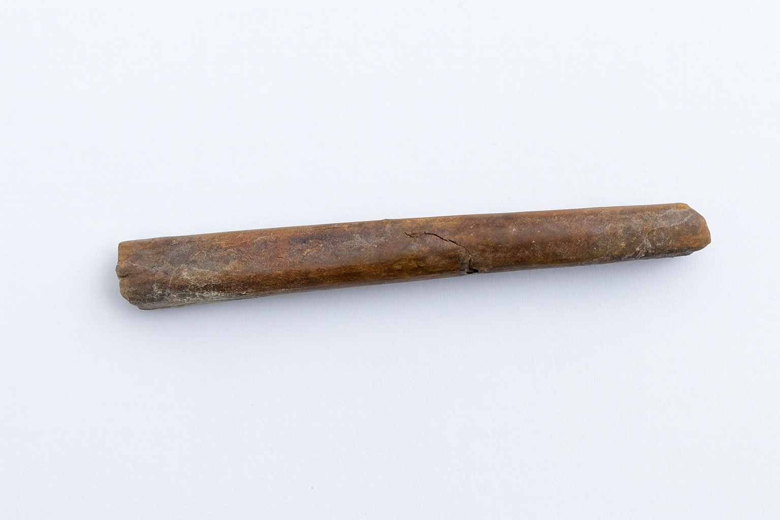 Bone