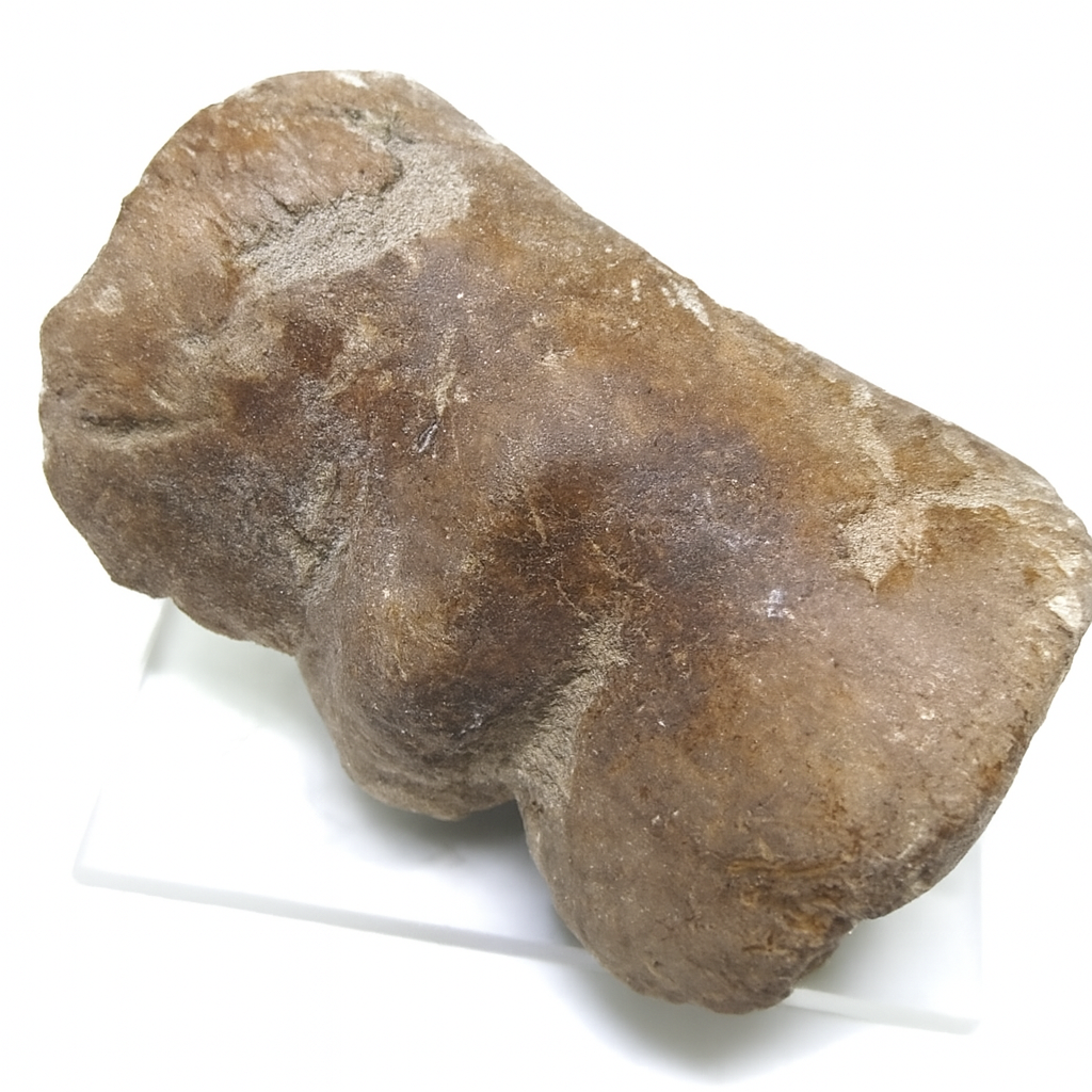Kangaroo Bone.