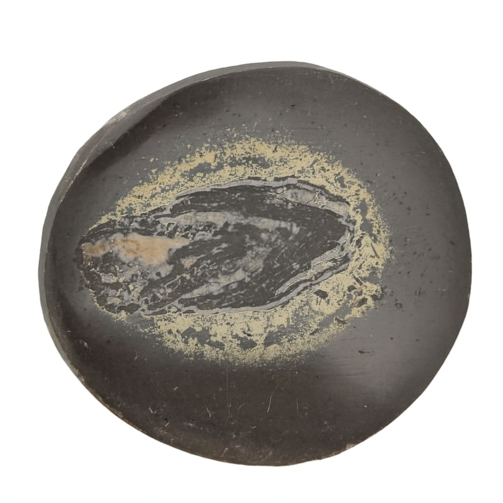 Pyritised Coprolite